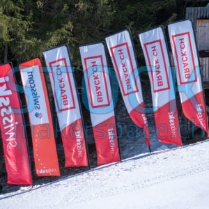 BRACK.CH FIS RIESENSLALOM HERREN 2021 SAVOGNIN - stock.makerspace.ch