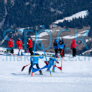 BRACK.CH FIS RIESENSLALOM HERREN 2021 SAVOGNIN - stock.makerspace.ch
